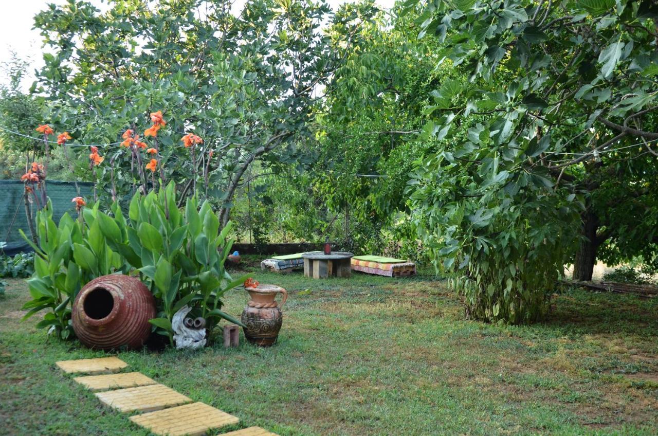 MáltaDoloi Garden House别墅 外观 照片